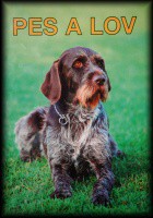 Pes a lov